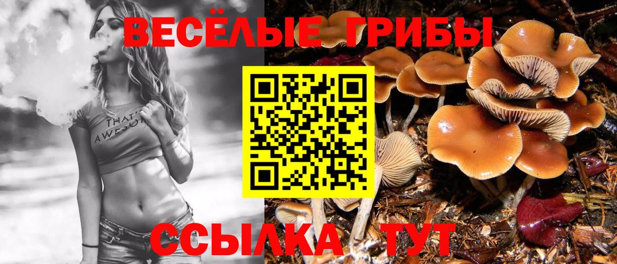 закладка  Галлюциногенные грибы Psilocybe  Вход с VPN  Полысаево  Псилоцибиновые грибы Psilocybine cubensis 